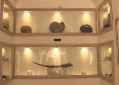 افتتاح موزه کامبرین، تنها موزه تخصصی دیرینه شناسی کشور