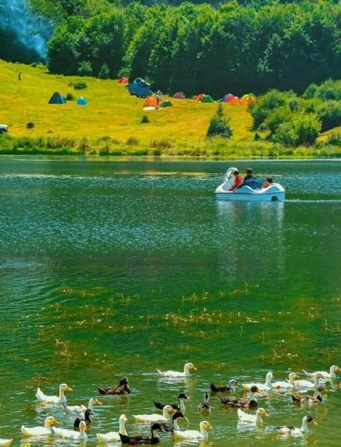 دریاچه ویستان، جاذبه گردشگری و طبیعی گیلان، عکس